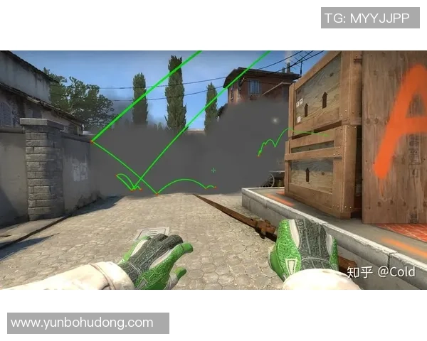 CSGO战术解析：深入剖析JDG在阵地战中的策略与执行